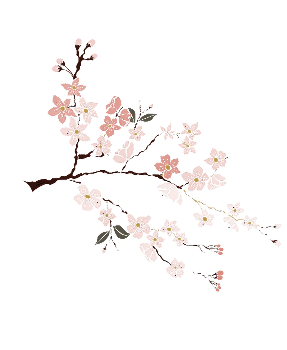 満開の桜の枝